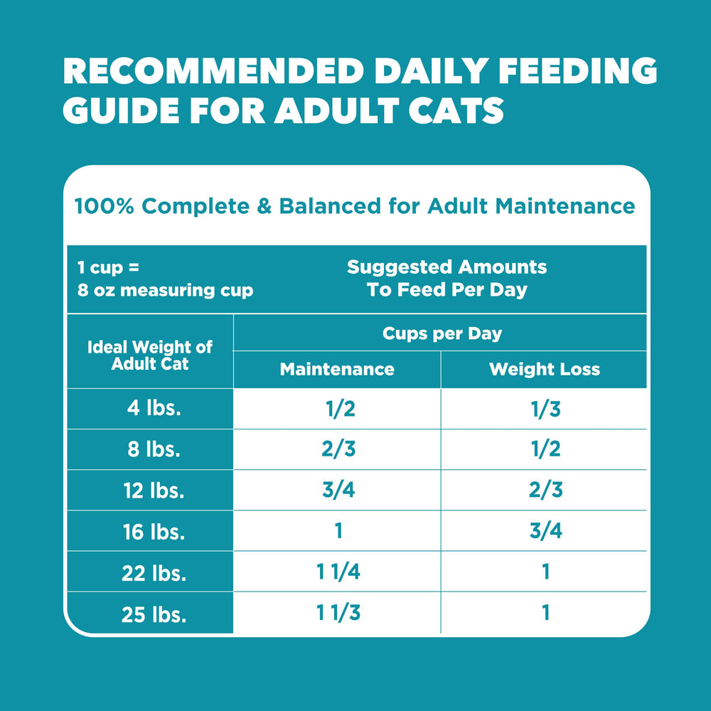IAMS Proactive Health recomendado por veterinarios para gatos de interior