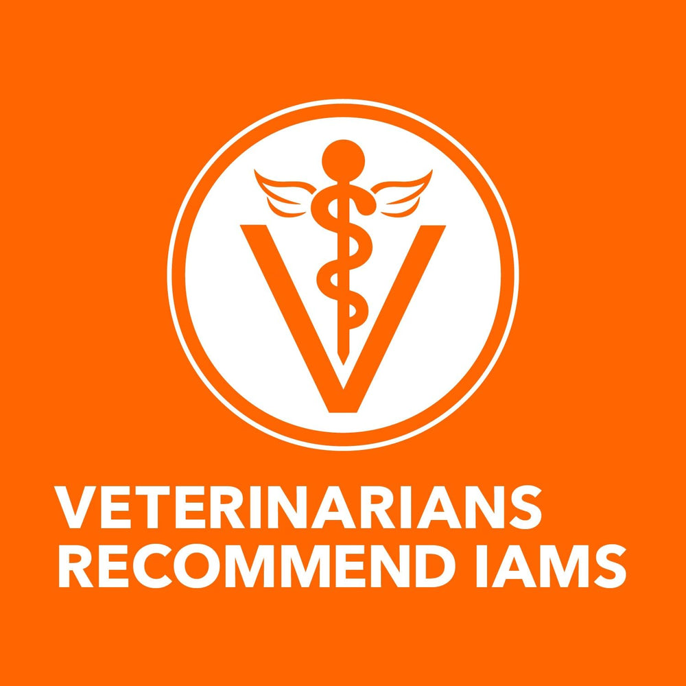 IAMS sin artificiales preservantes: ingredientes simples para gatos.