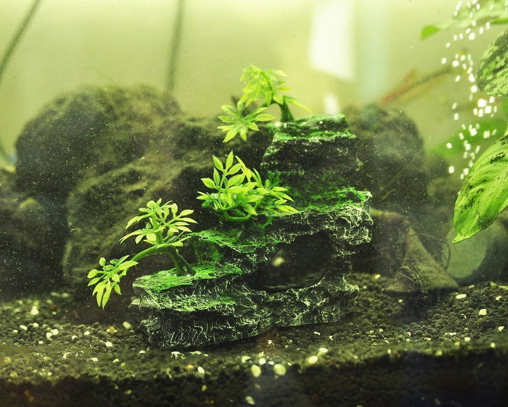 IBWell acuario Resina segura para peces en agua dulce o salobre