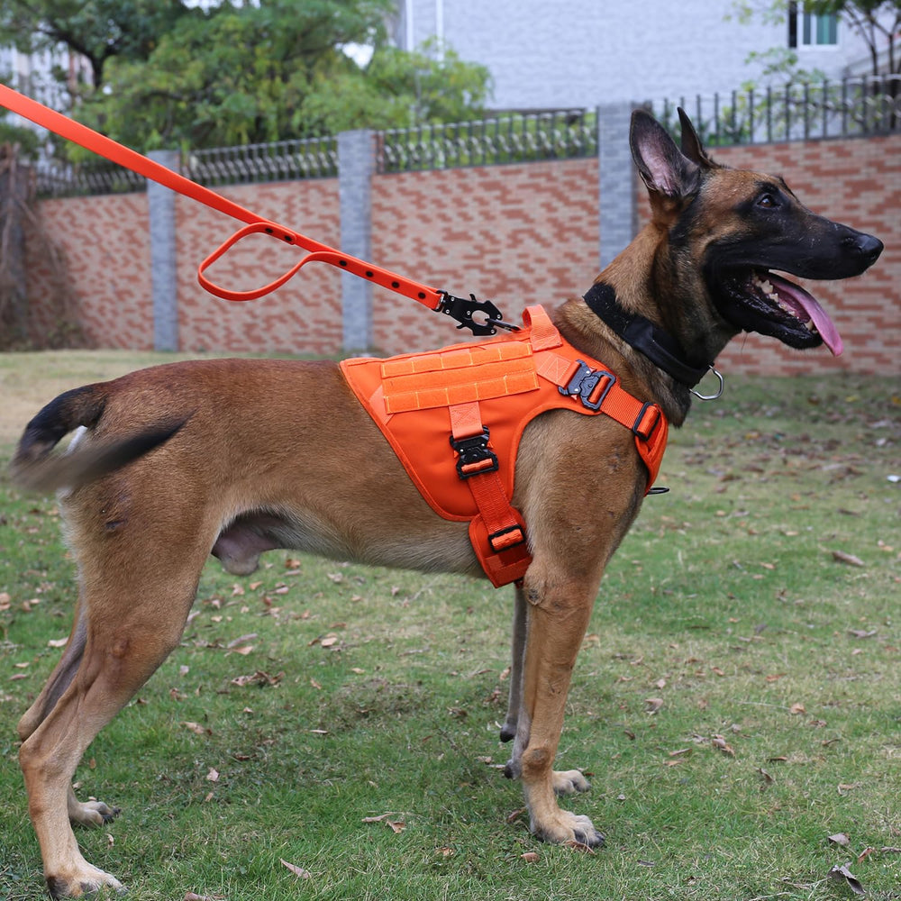 Arnés ICEFANG con asa de mano para control seguro durante paseos.