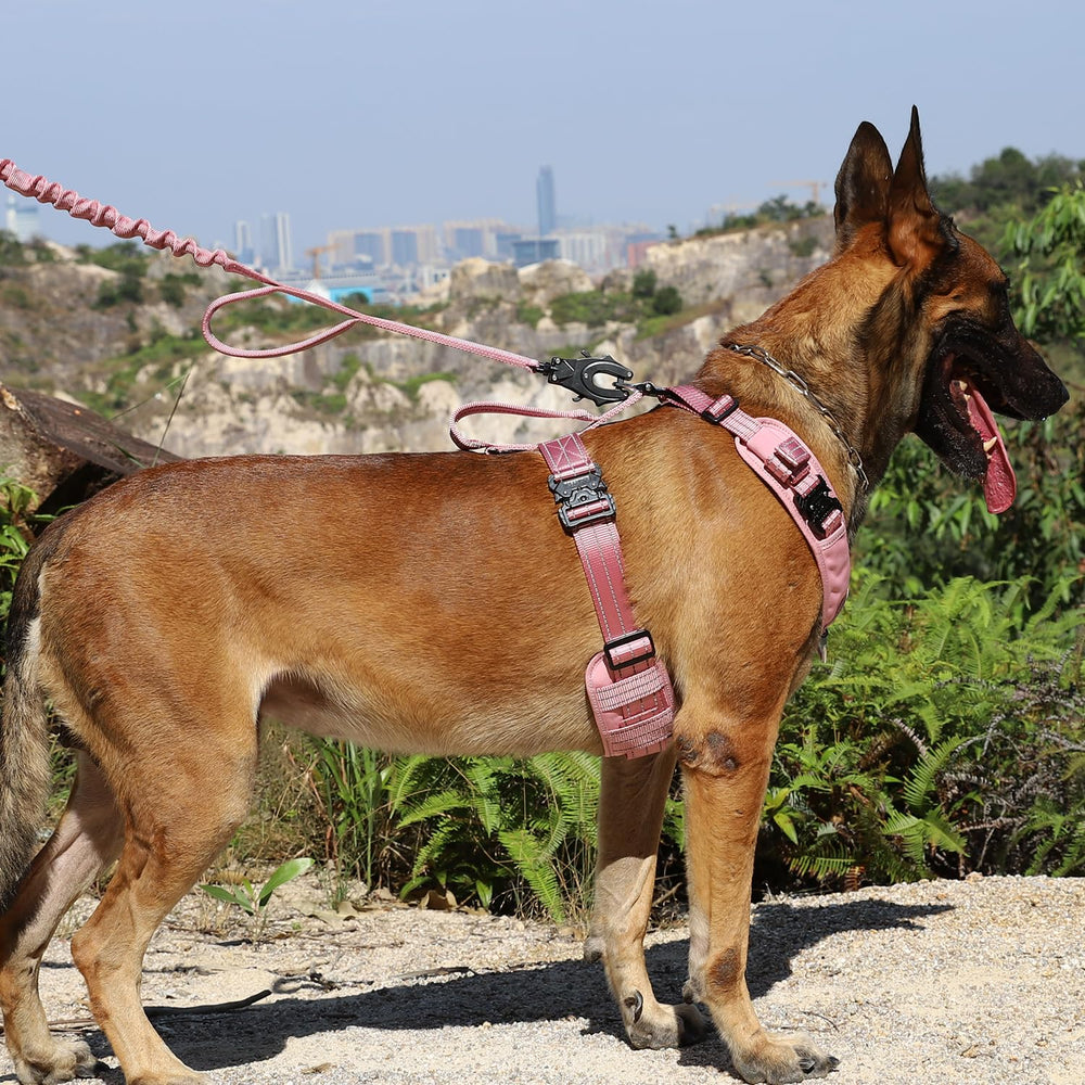 Arnés ICEFANG para K9, diseño en forma de Y y acolchado suave