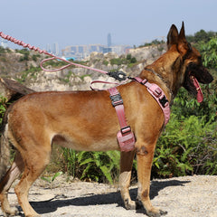 Arnés ICEFANG para K9, diseño en forma de Y y acolchado suave