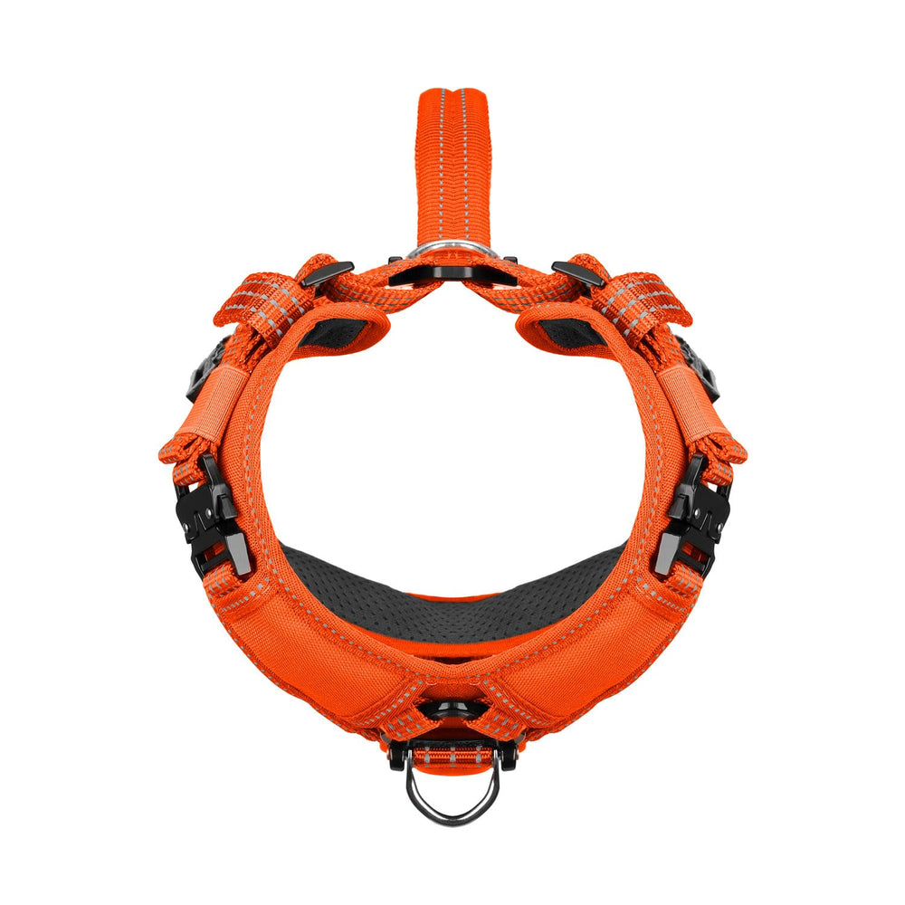 Arnés ICEFANG con gancho frontal para control suave ante tirones