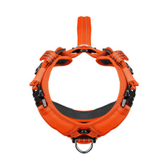 Arnés ICEFANG con gancho frontal para control suave ante tirones