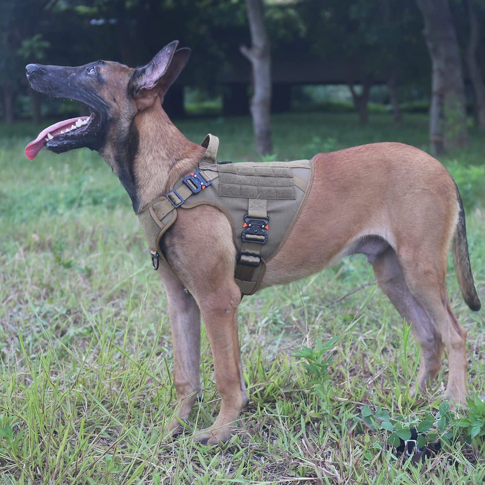 Arnés ICEFANG con compatibilidad MOLLE/PAL para llevar accesorios.