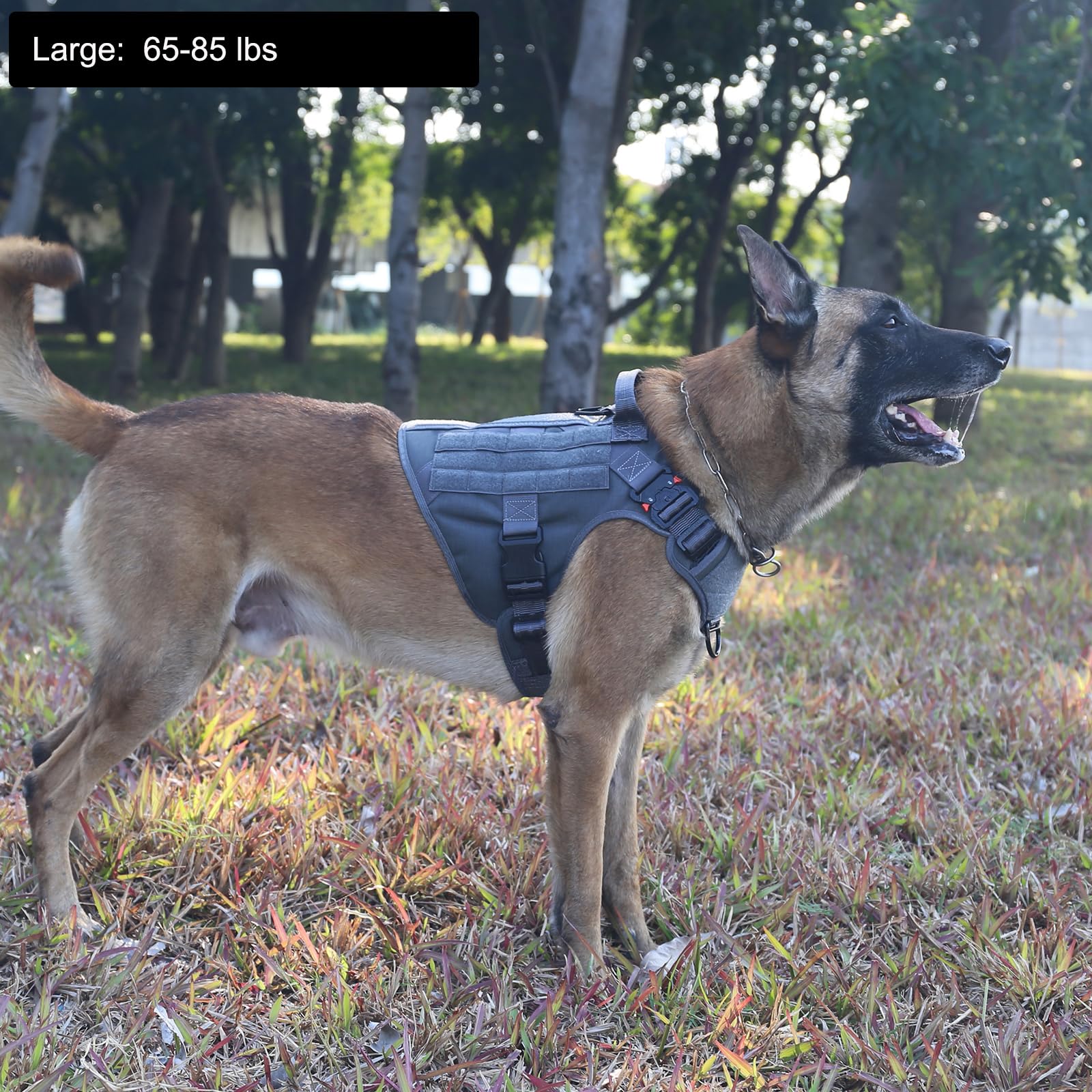 Módulos MOLLE ICEFANG y paneles ajustables para portar accesorios durante entrenamiento.
