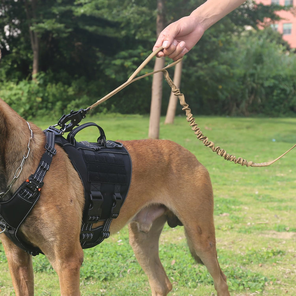 ICEFANG correa con cierre metálico para perros grandes y seguros