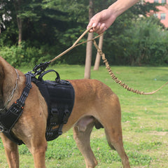 ICEFANG correa con cierre metálico para perros grandes y seguros