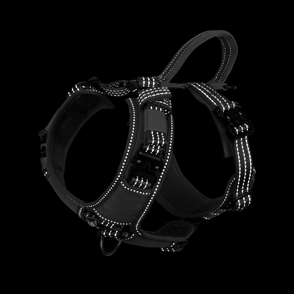 Diseño en Y ICEFANG mantiene el arnés centrado y cómodo.