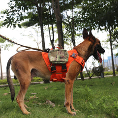 Anclajes V-Ring ICEFANG GN3 en dos puntos para paseos controlados.