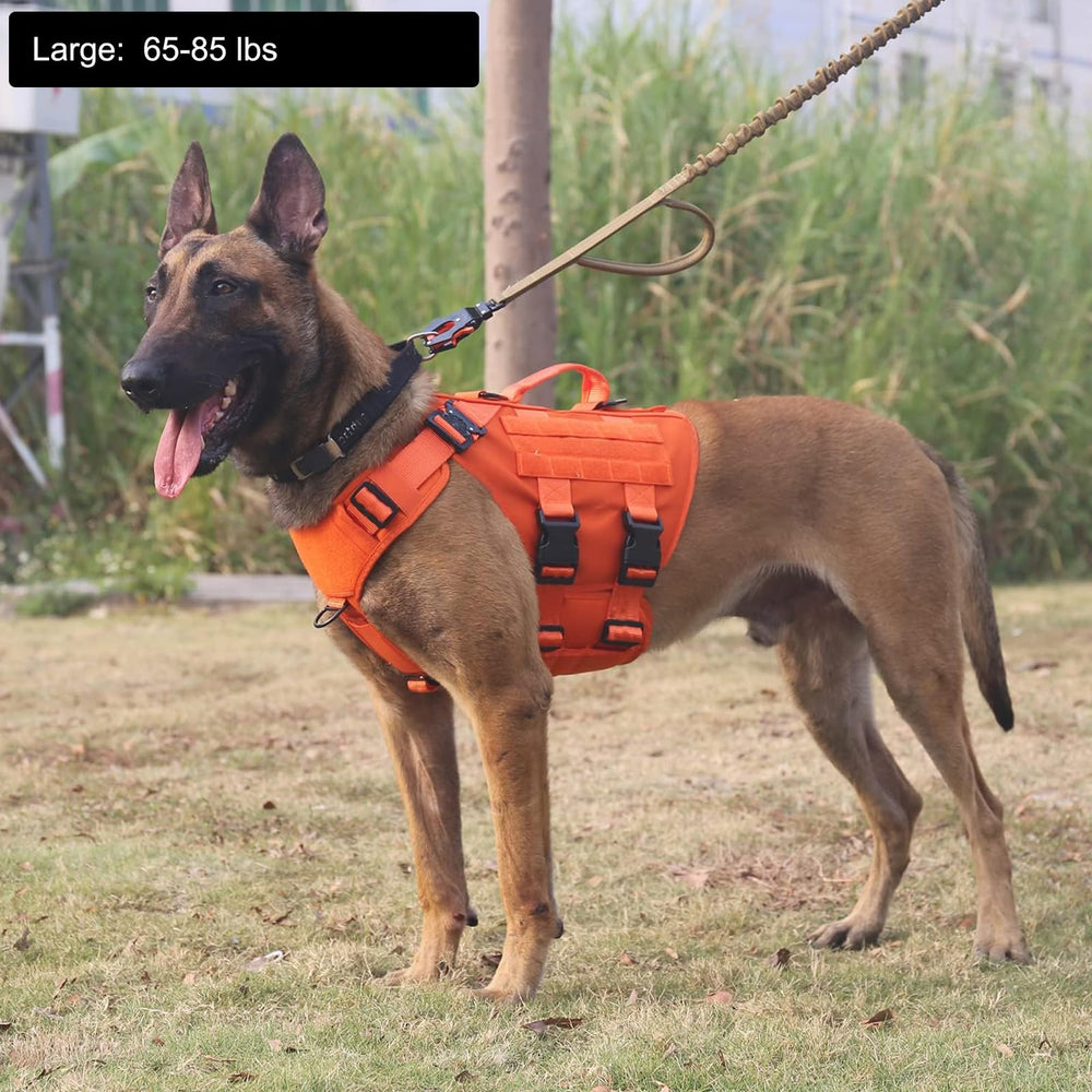 Arnés ICEFANG GN3 con MOLLE lateral para portar equipo ligero.