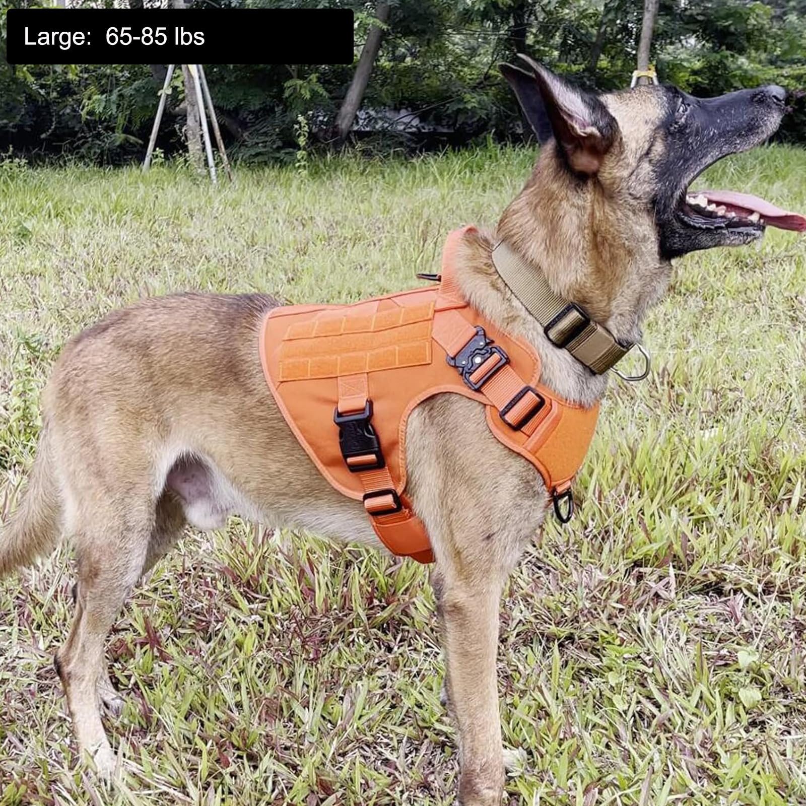 Paneles Molle ICEFANG para personalizar y llevar accesorios durante entrenamiento.