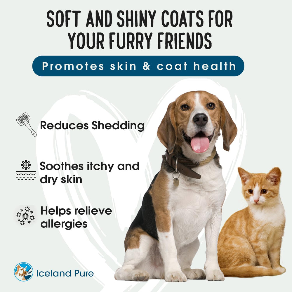 Iceland Pure Pelaje brillante para perros y gatos; aceites saludables favorecen piel y acabado sedoso.