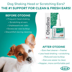 ICF Otodine: fórmula Tris-EDTA para descomponer cerumen
