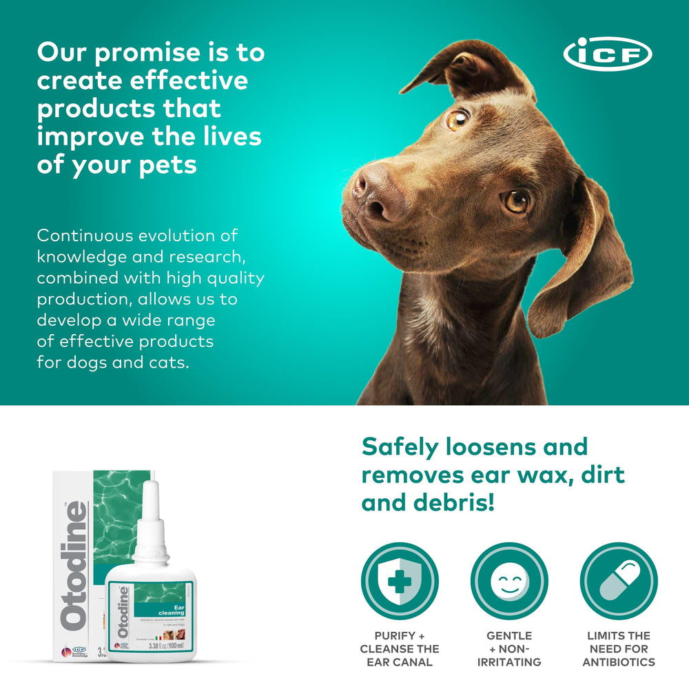 ICF Otodine: seguro para perros, gatos y cachorros