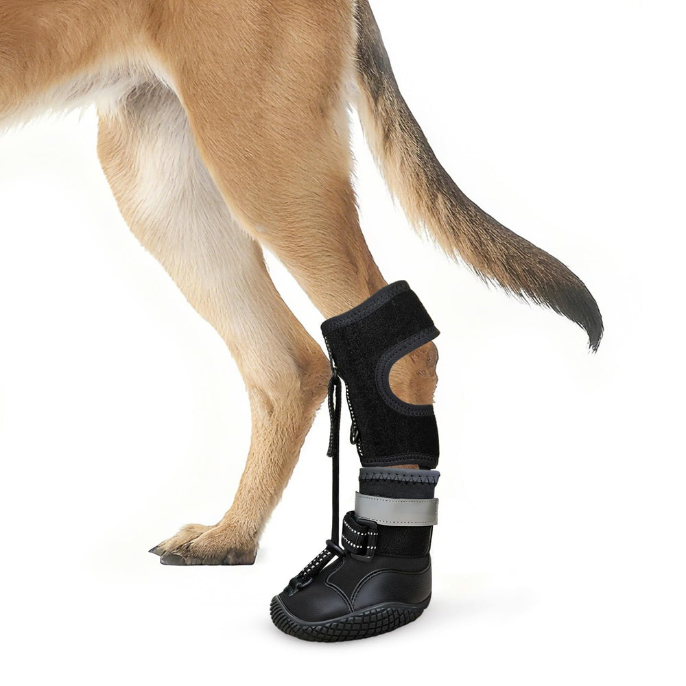 Idepet bota ortopédica para perro con suela antideslizante y mayor estabilidad.