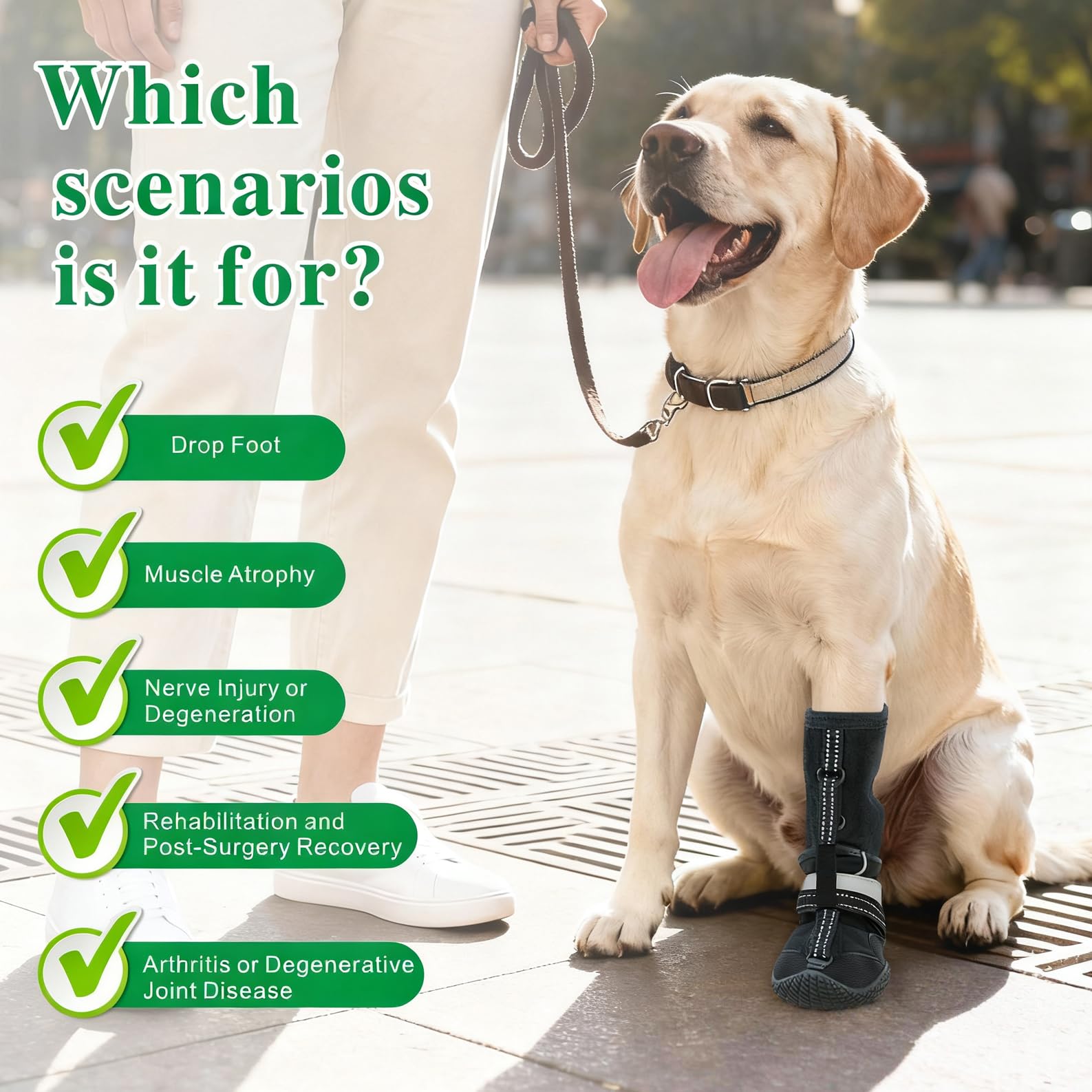 Idepet tirantes ajustables para perro ofrecen ajuste cómodo y seguridad.