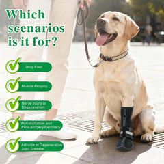 Idepet tirantes ajustables para perro ofrecen ajuste cómodo y seguridad.