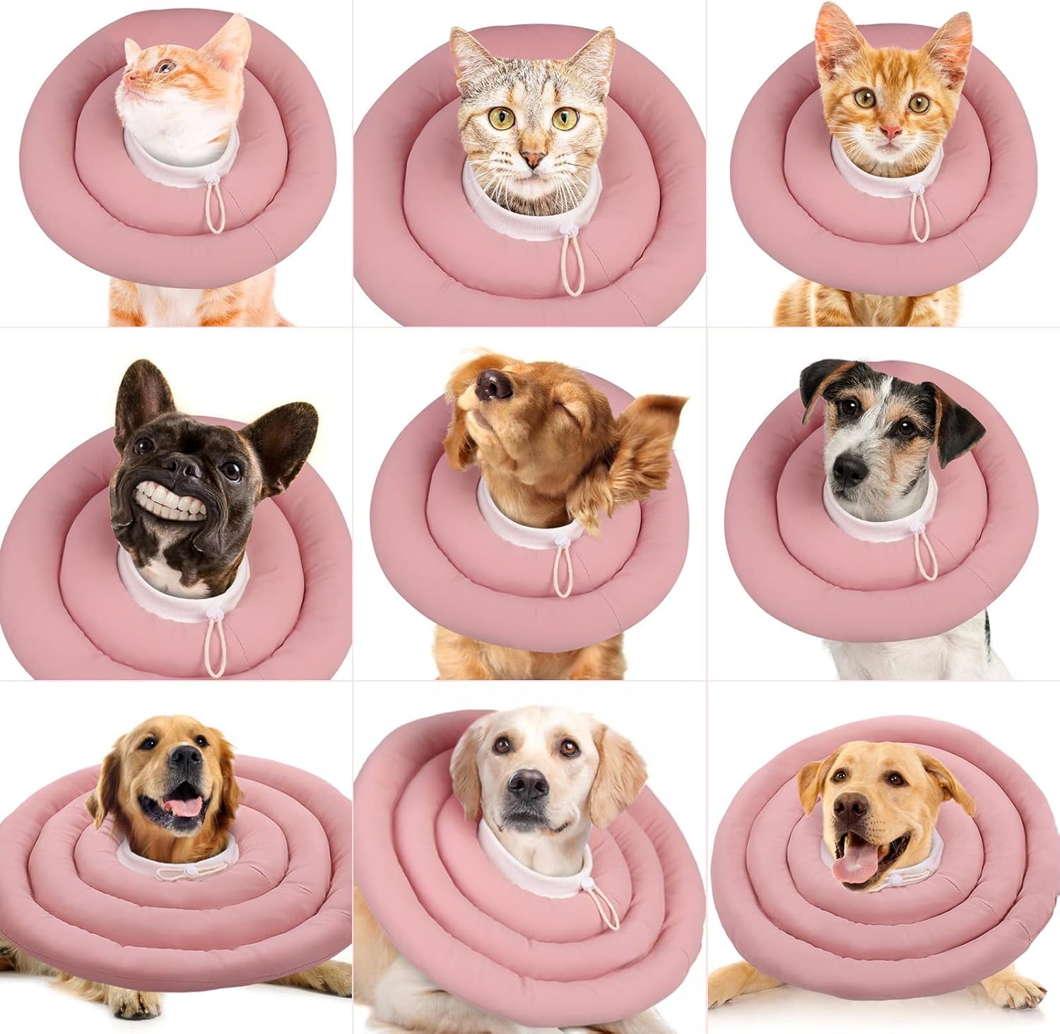 IDOMIK collar-rosado-duradero-facil-limpiar: superficie resistente al agua y mantenimiento sencillo.