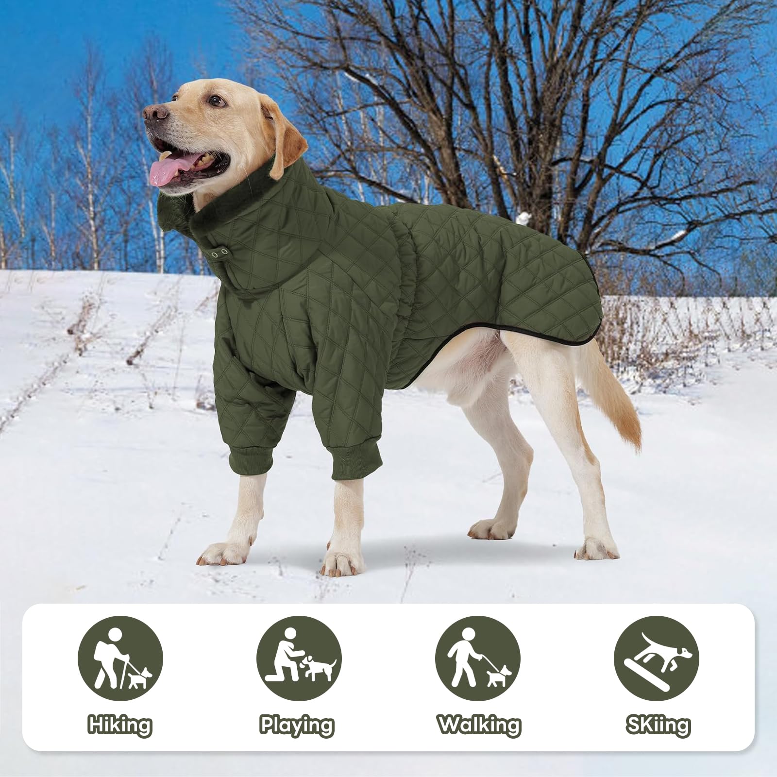 IDOMIK tallas disponibles desde S a 3XL para perros grandes.