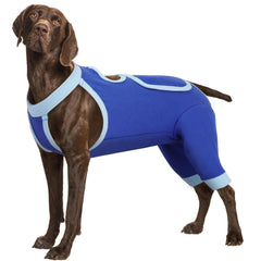 IDOMIK Recovery Suit para perros, piernas traseras visibles, protege suturas y evita lamido.