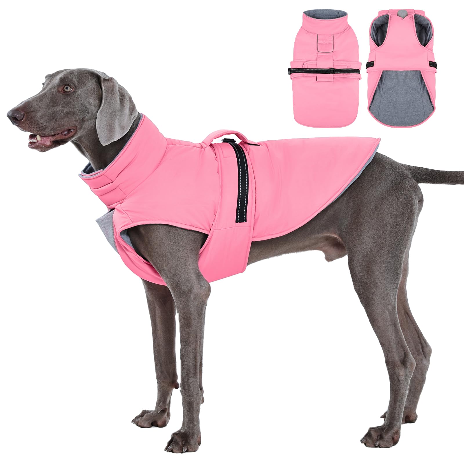 IECOii abrigo para perro con material reflectante y visibilidad nocturna.