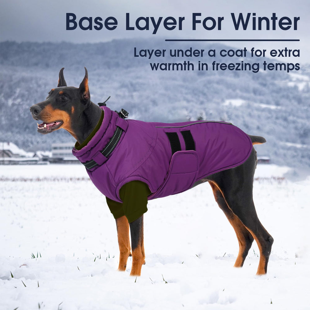 IECOii perro caminando con sudadera forro polar para exteriores.