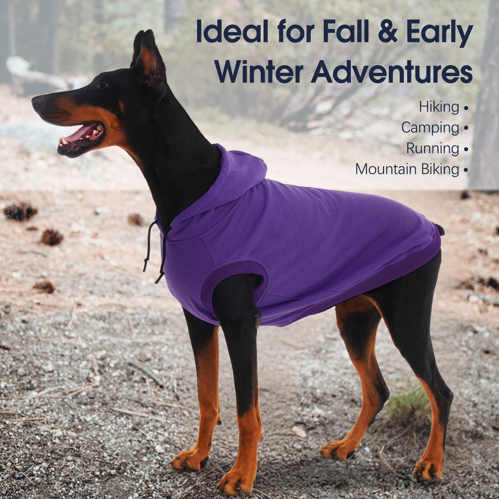 IECOii sudadera para perros grandes en azul royal, opción color muy combinable