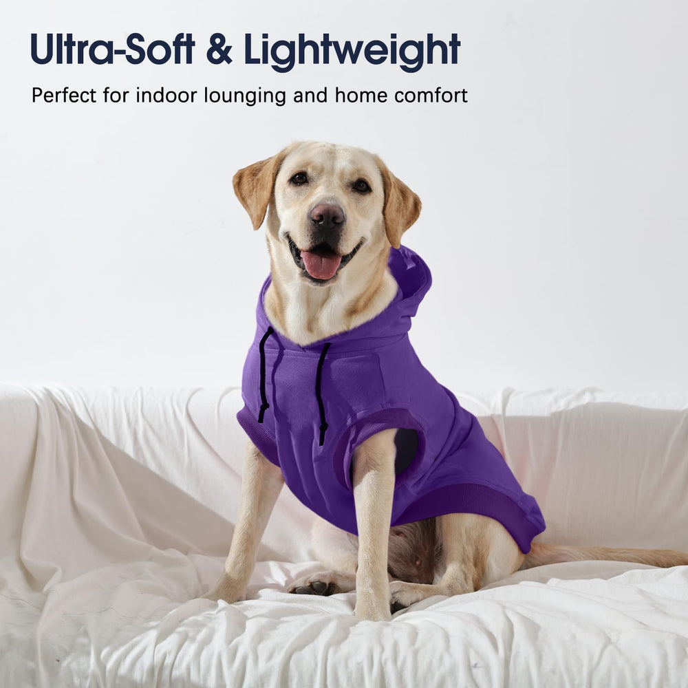 IECOii sudadera en gris, look neutro para perros grandes