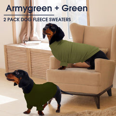 IECOii sudadera para perro uso diario en primavera u otoño.