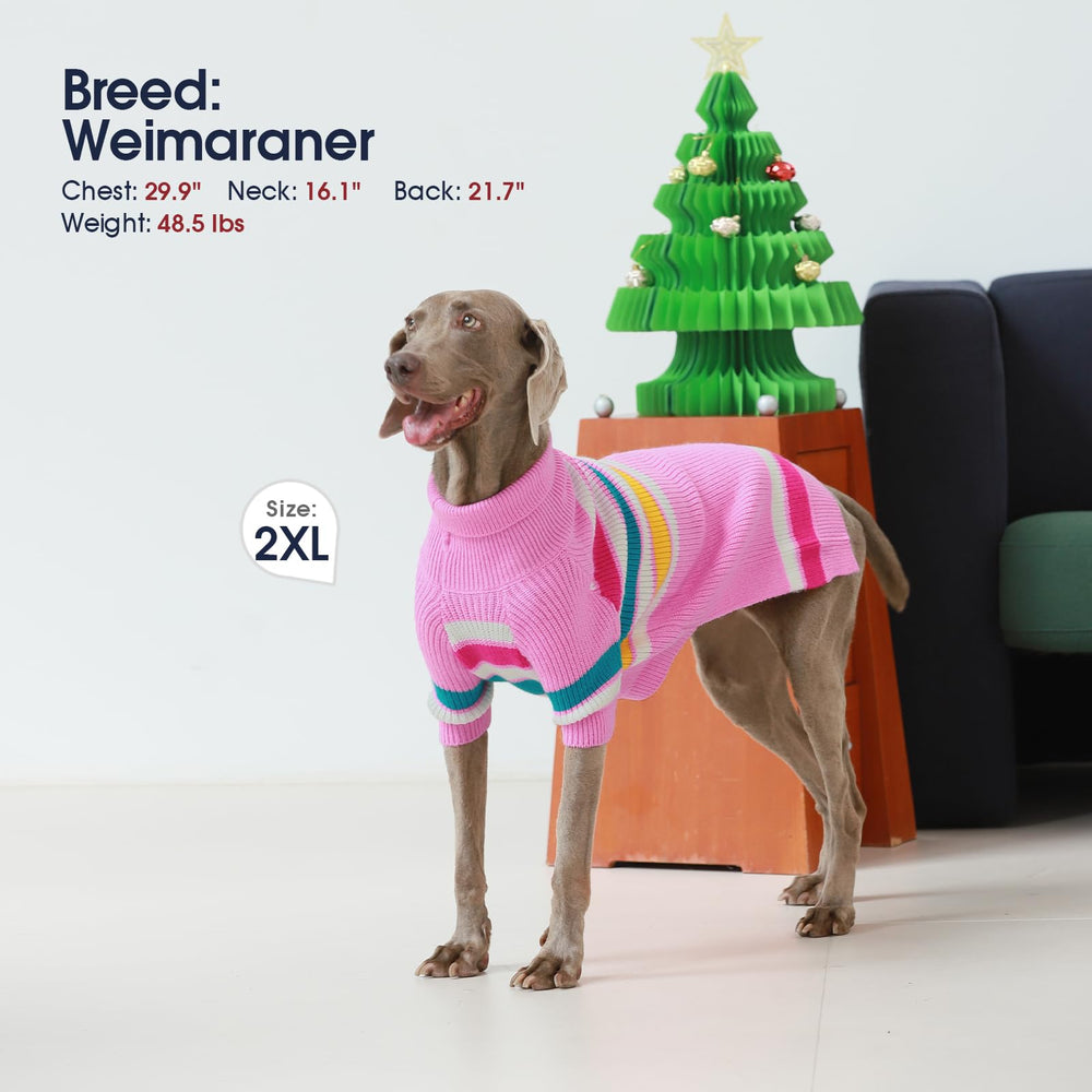 IECOii sudadera XL para perro diseño de ponérselo fácil