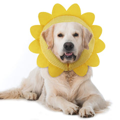 IEUUMLER collar inflable girasol-l, protege suavemente la zona operada