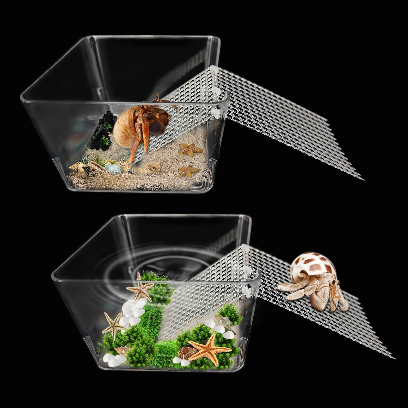 Iffitya piscina cangrejo ermitaño: espacio seguro para explorar y moverse.