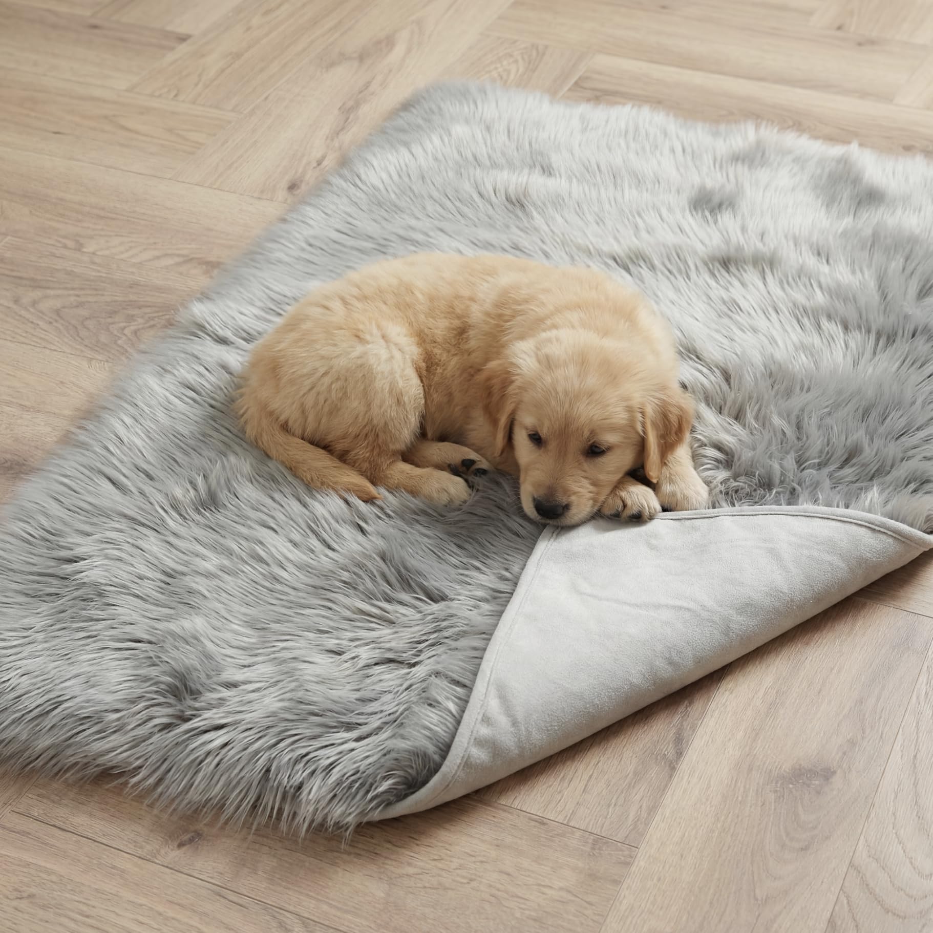 IHAPPYDOG manta impermeable lavable, uso diario y simple cuidado