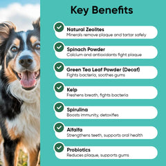 iHeartDogs Aliento fresco con menta, sabor agradable para sesiones de cuidado dental.