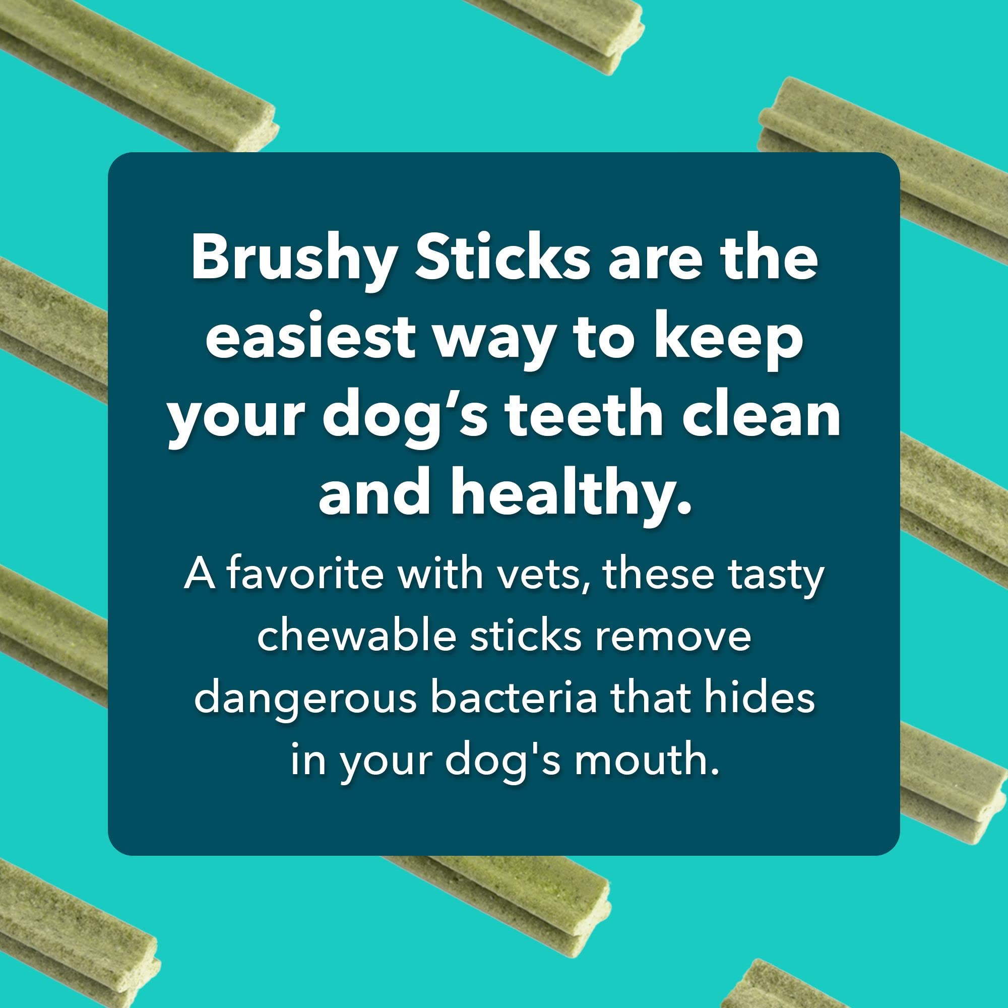 iHeartDogs Brushy Sticks: rutina diaria para fomentar juego y cepillado.