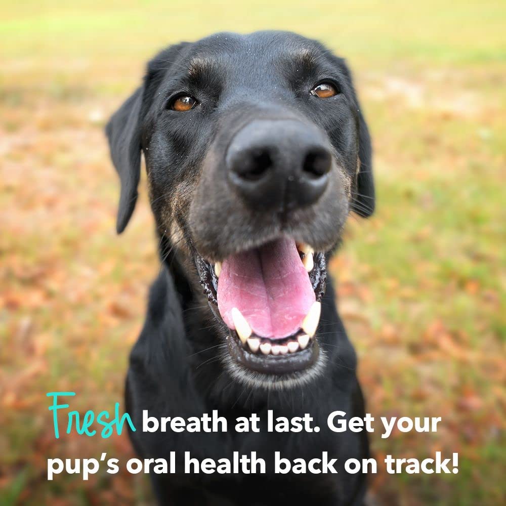 iHeartDogs Brushy Sticks: textura duradera para mordisqueo diario.