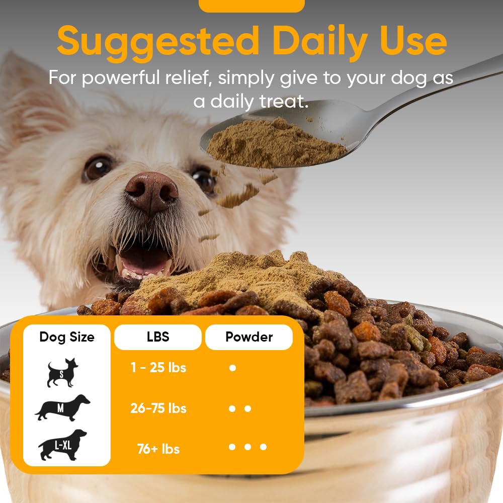 iHeartDogs detox natural con caldo de huesos para limpieza suave.
