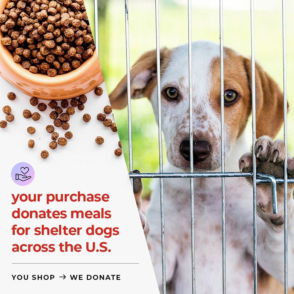iHeartDogs Honey Guard etiqueta clara con dosis recomendadas
