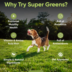 iHeartDogs Super Greens ingredientes naturales para una dieta más completa.