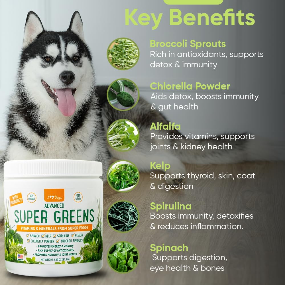 iHeartDogs Super Greens mezcla verde en plato, complemento diario para perros.