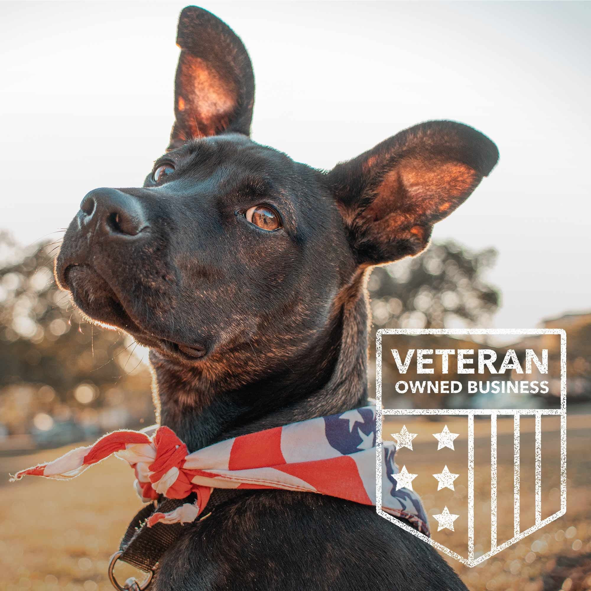 iHeartDogs urna para perro, memorial exterior impermeable