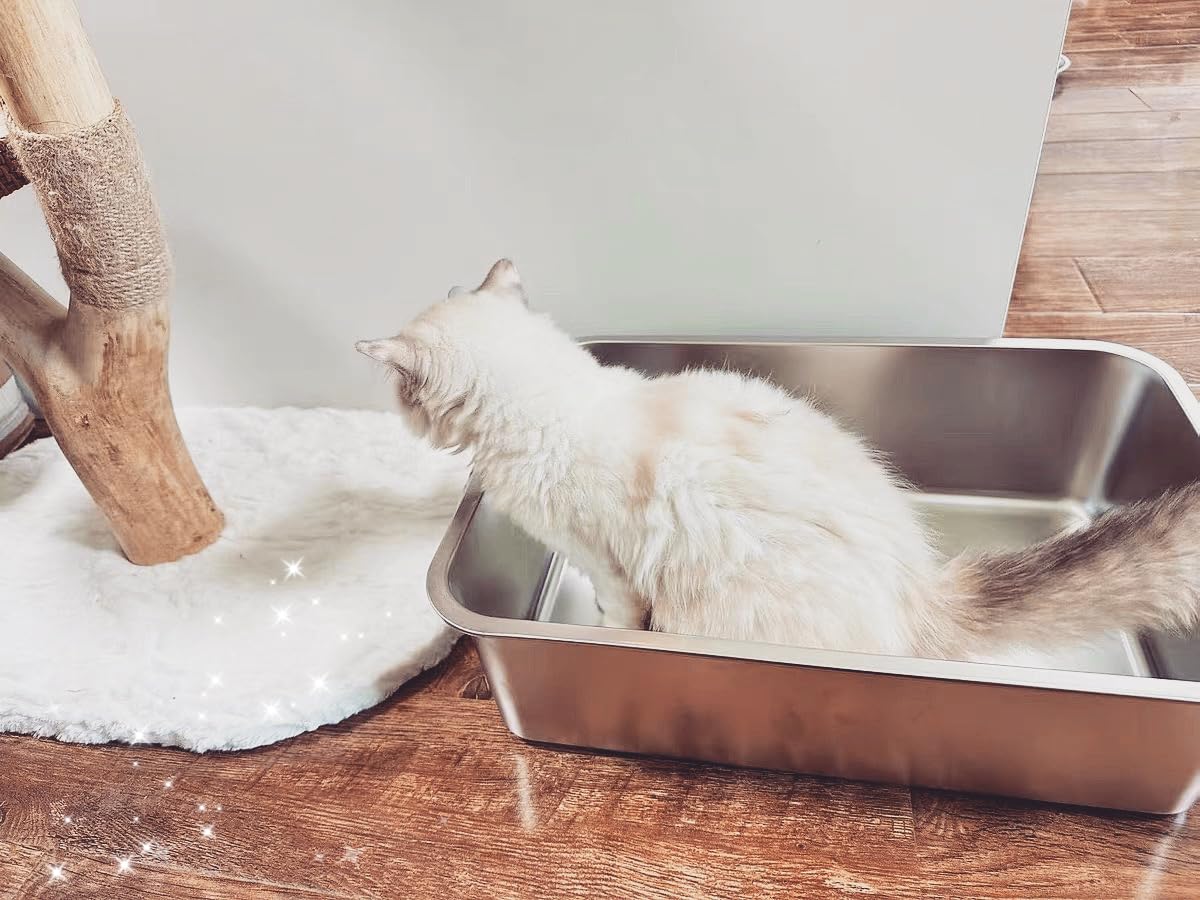 IKITCHEN caja de arena para gatos, tamaño amplio para gatos de tamaño promedio.