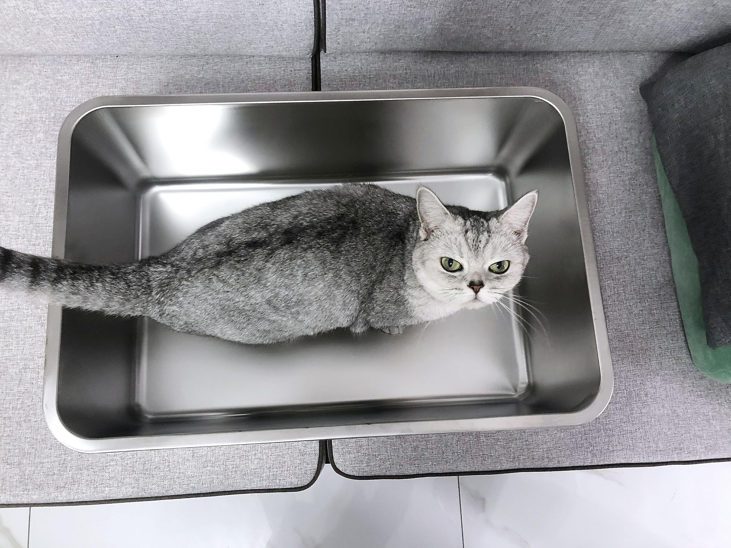 IKITCHEN caja de arena para gatos, ayuda a controlar olores y manchas.