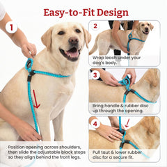 Harness Lead correa reflectiva para mayor visibilidad nocturna