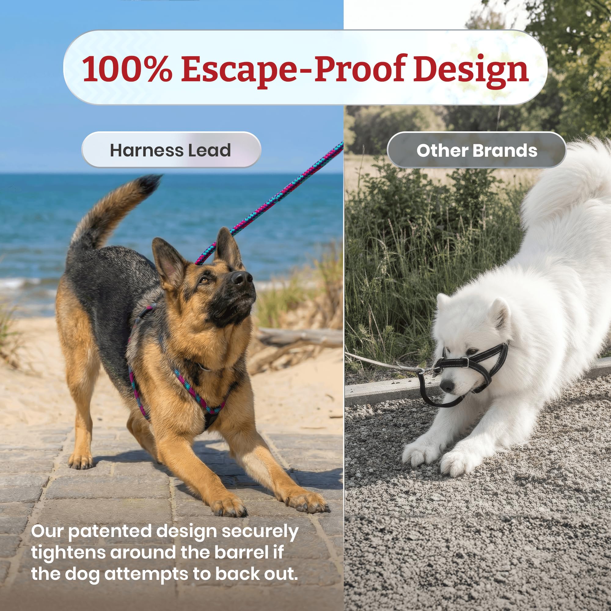 Harness Lead hecho en EE UU con fabricación local