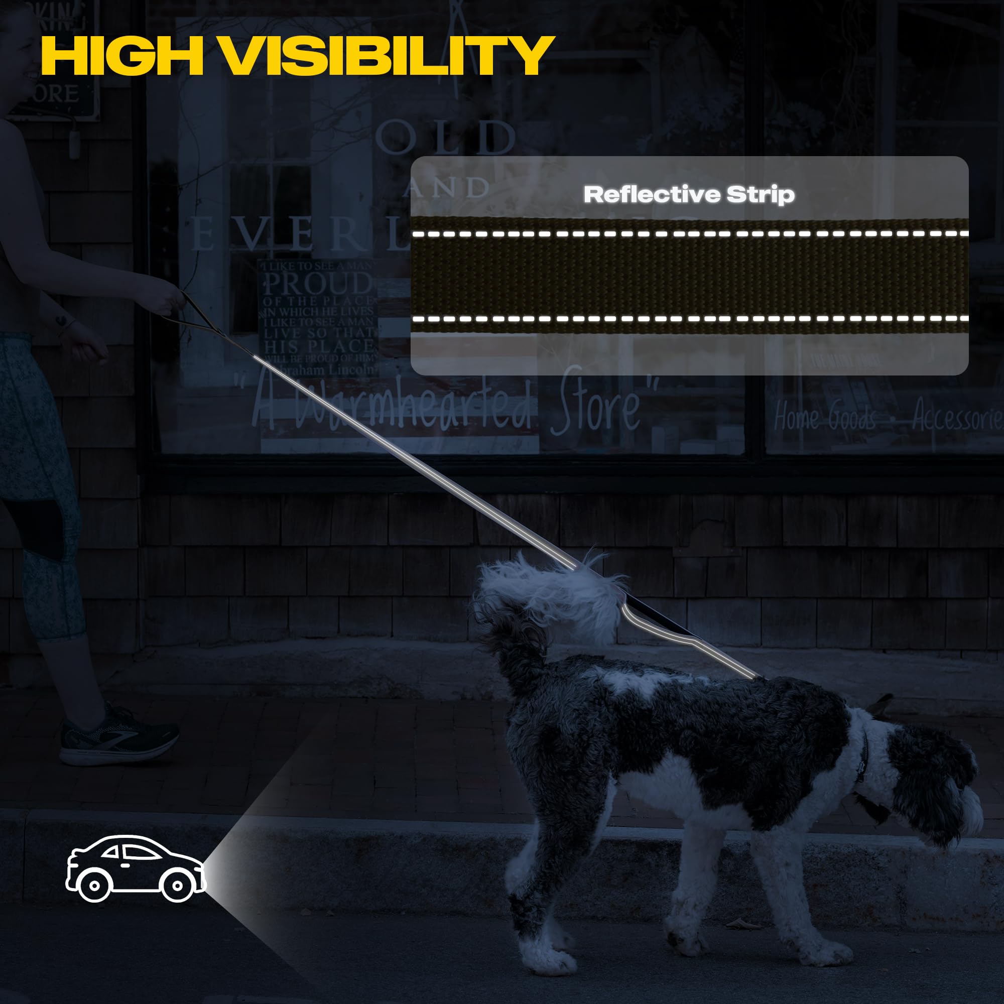 Fida 4 ft Dog Leash - Padded Double Handle, Easy Hook and Reflective