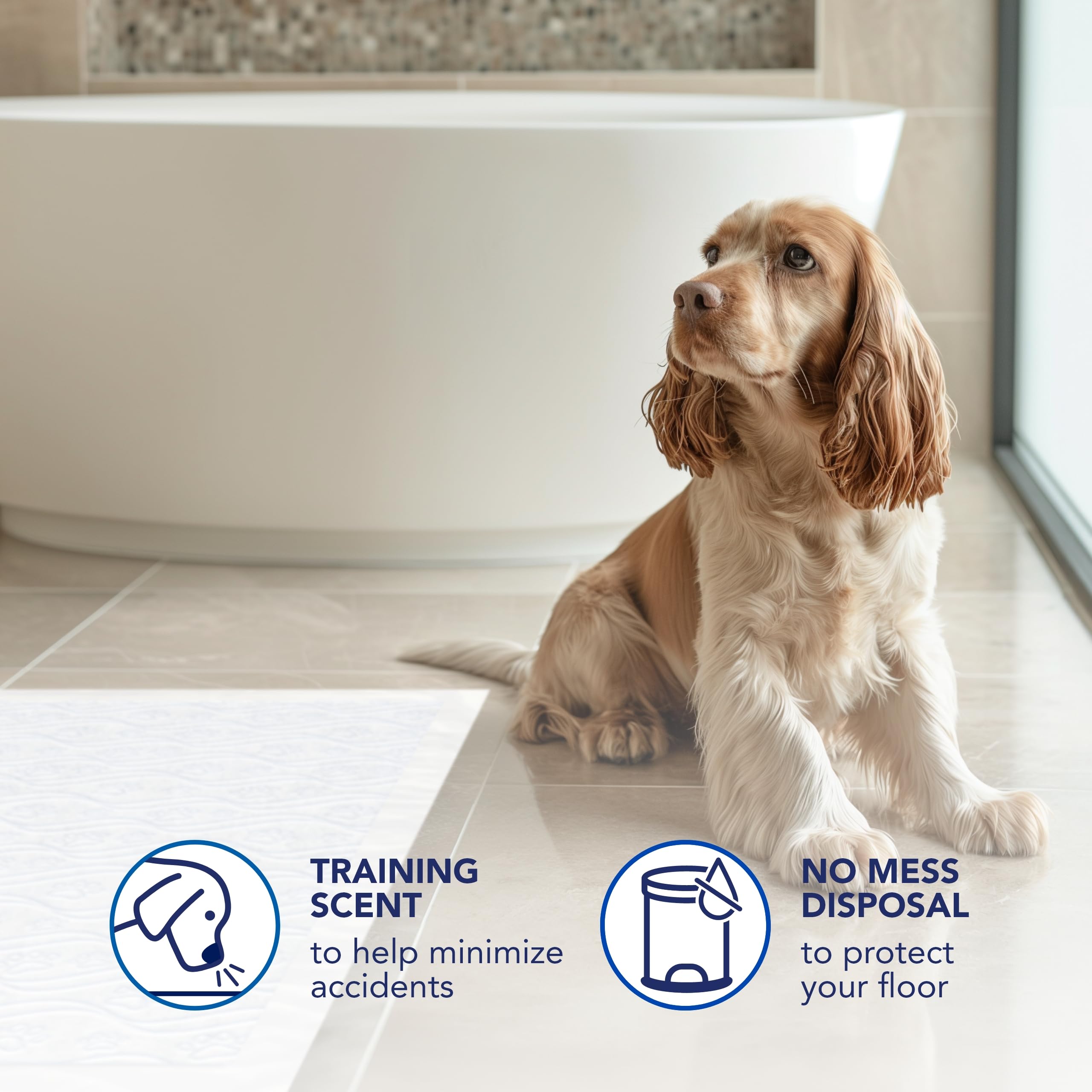 Scott Pet Guard Tapis d'entraînement Chien XL 30x36 – Lot de 20