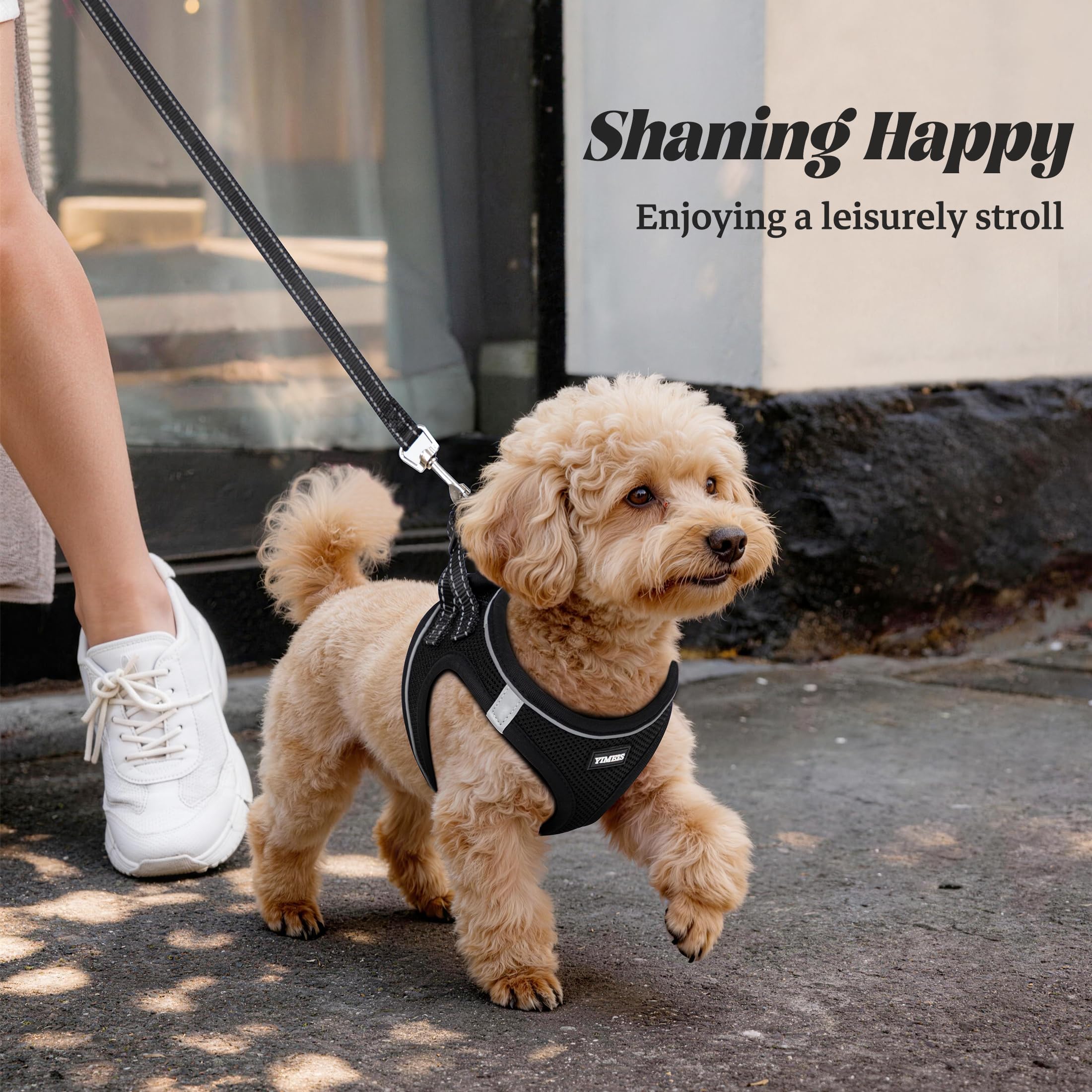 YIMEIS Dog and Cat Harness and Leash (Size S, Black) – No-Pull, Soft Mesh, Reflective