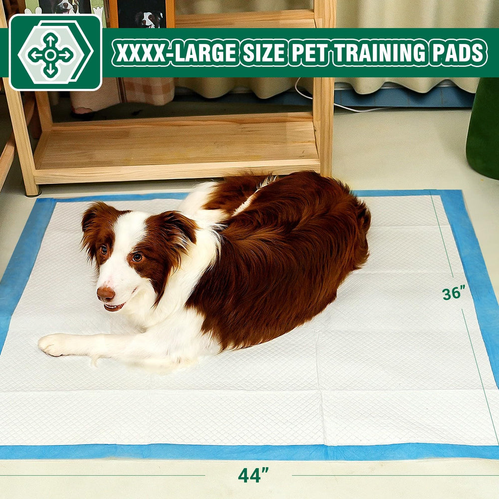 IMMCUTE almohadillas entrenamiento perro ultra absorbentes para proteger el suelo